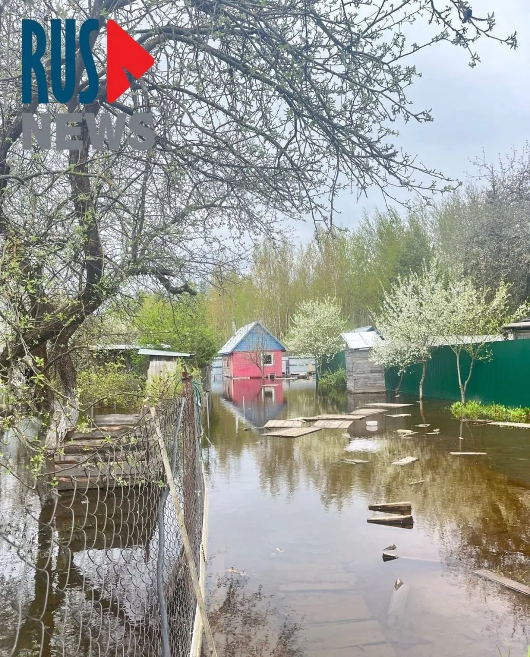 В Щёлковском районе вода затопила лес и частные участки: местные утверждают, что подтопление началось после перекрытия трубы водоканалом; власти говорят о контроле паводков, но люди справляются с последствиями сами.