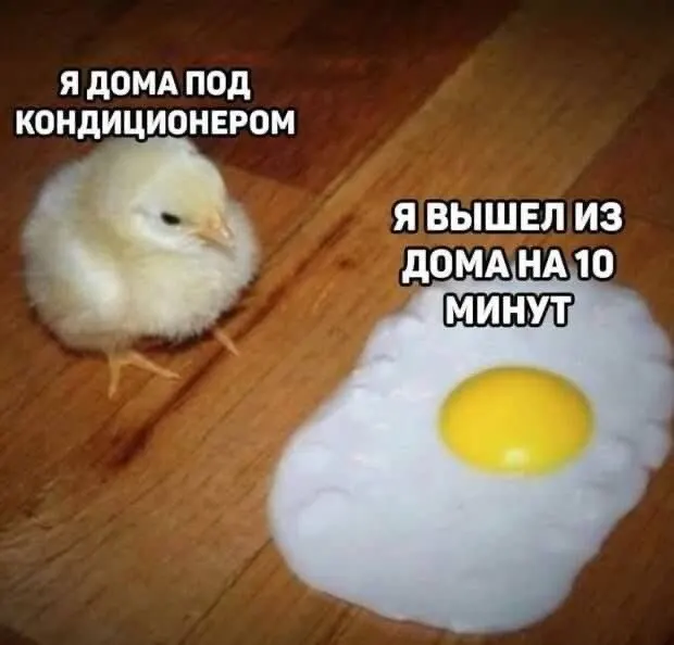 Сегодня в столице ожидаются дожди с грозами и жаркая погода до +28…+30 градусов; к субботе температура снизится до +21…+23 градусов.