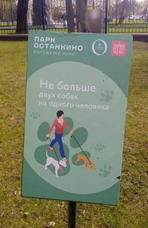 В Останкинском парке разрешено выгуливать не более двух собак на одного человека; ограничений по размеру питомцев нет.