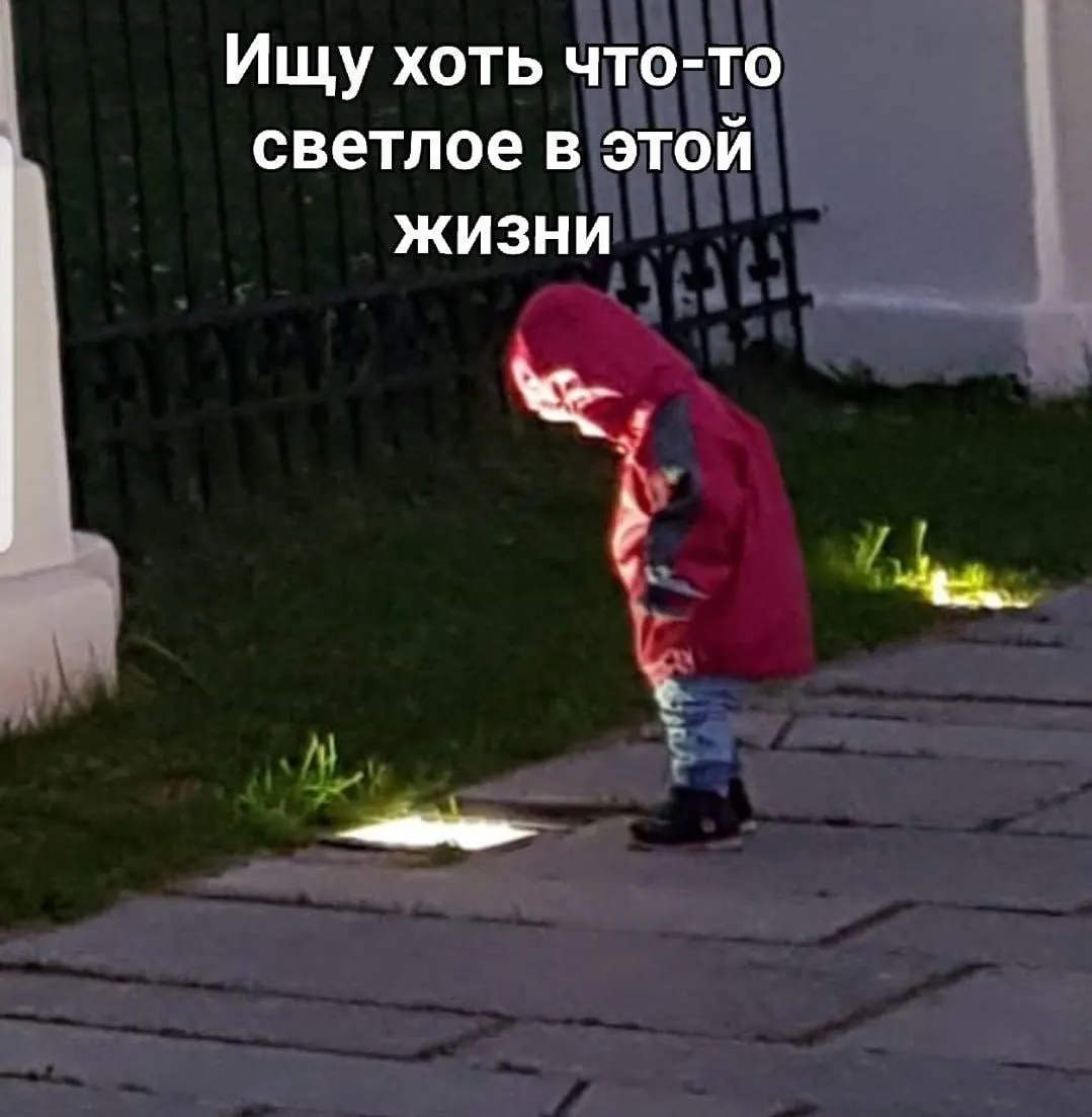 Депутаты предупреждают о росте фейковых сайтов гостиниц, турфирм и групп в соцсетях; советуют проверять домены, не передавать коды из СМС и предлагают создать единый информационный портал туризма.