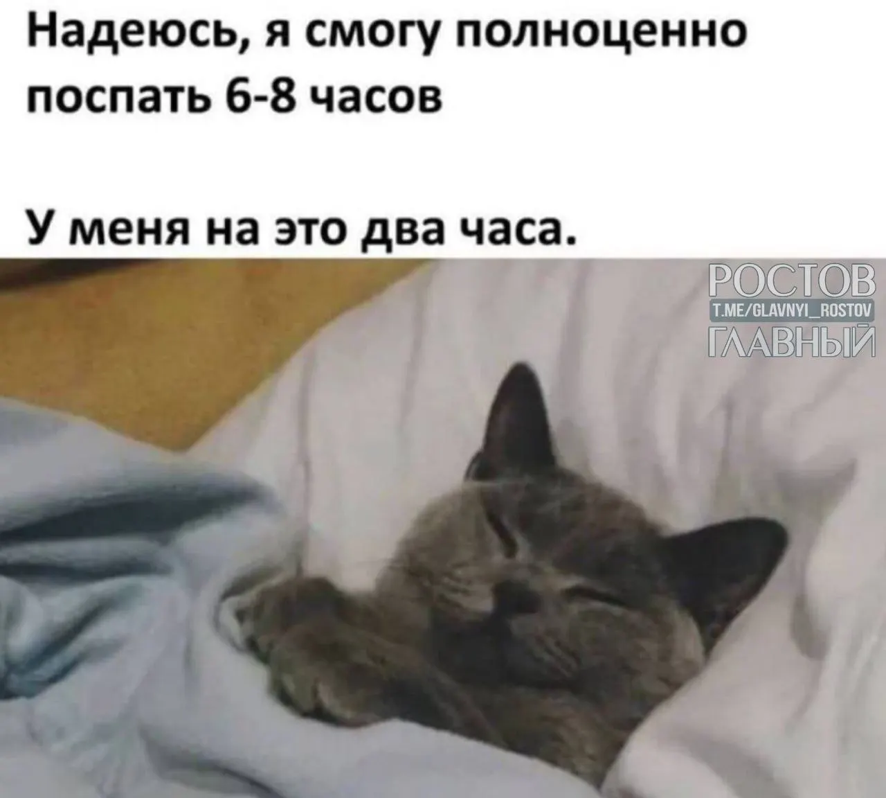 Туристы предпочитают поездки в Подмосковье, Ленинградскую область, на юг России, в Кавминводы и на Алтай — в отели без связи и интернета, чтобы полностью отключиться и отдохнуть.