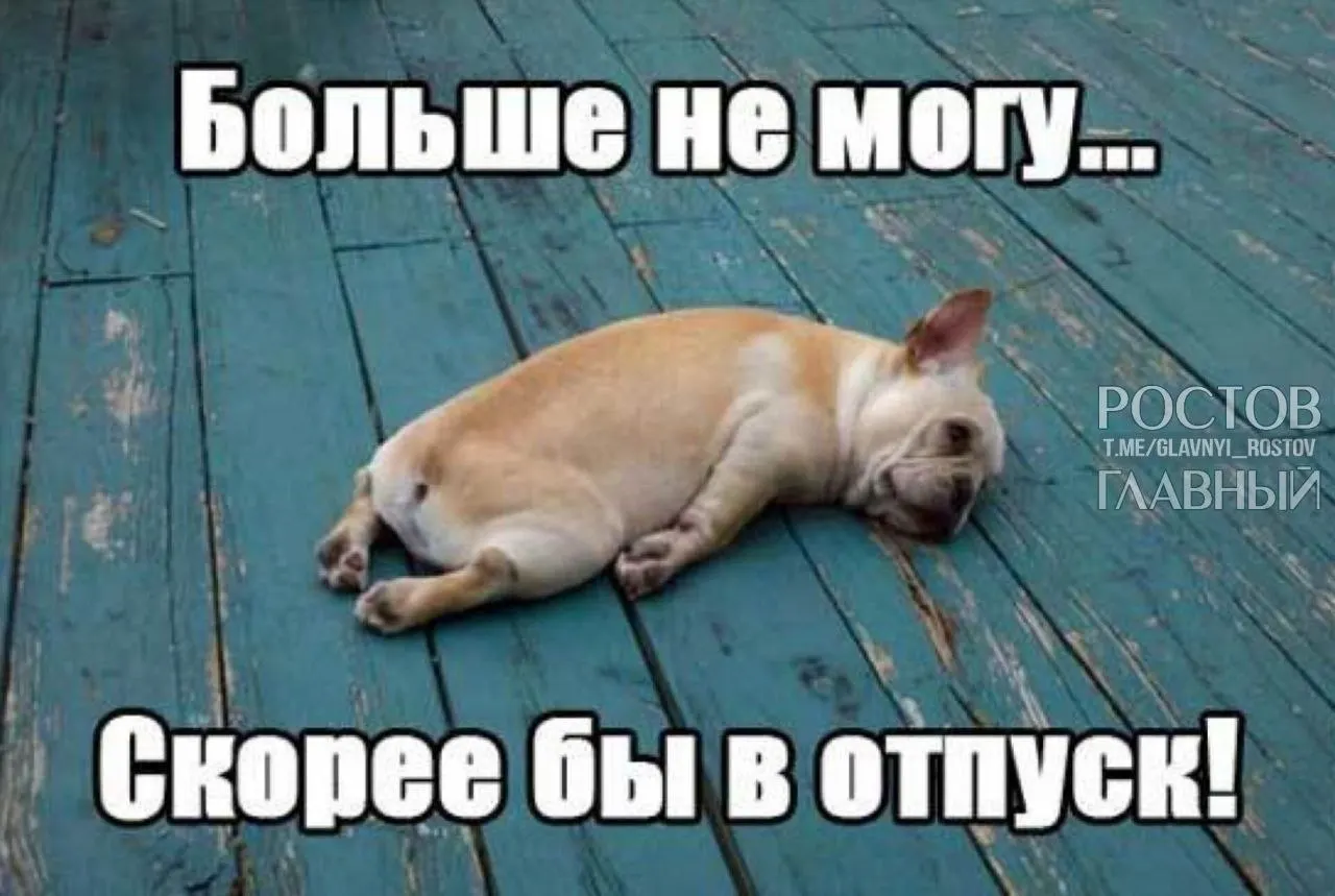 Инициатива предусматривает повышение минимальной продолжительности отпуска с 28 до 35 дней по всей России, чтобы компенсировать включённые в отпуск выходные и снизить риск выгорания.