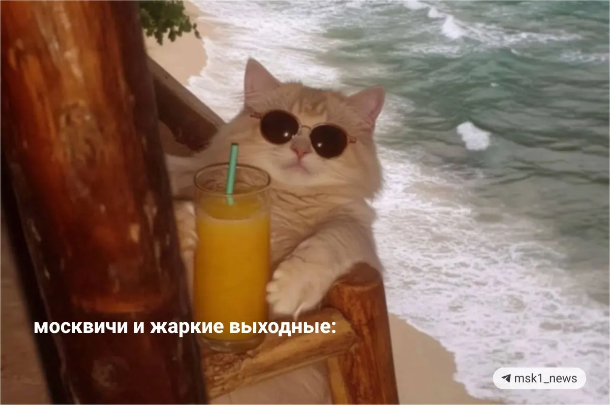 В реках региона вода прогрелась до +17–23°C, в некоторых местах теплее, чем в Сочи. Жара продлится до воскресенья, но часть городских пляжей временно закрыта из‑за нарушений санитарных норм.