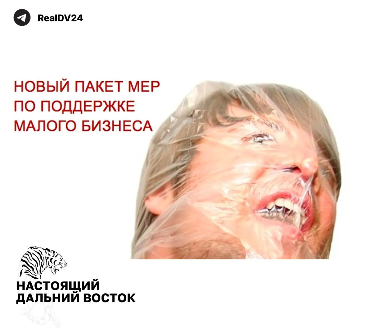Федеральная налоговая служба направила регионам рекомендации для наращивания налоговых поступлений: предлагаются изменения по налогам на имущество, землю, транспорт и льготам для бизнеса.