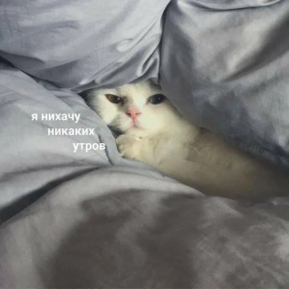 Днём в столице потеплеет до +18 °C. Ожидаются дожди и слабый ветер — не забудьте зонт.