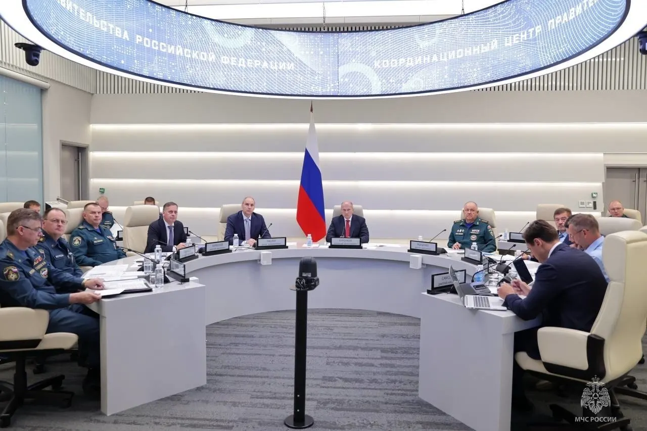 Арестована глава финансово‑экономического департамента МЧС