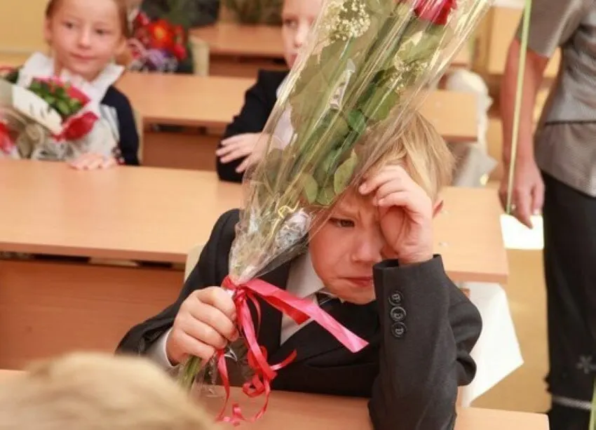 Заместитель министра просвещения Владимир Желонкин заявил, что 11-летняя система обучения является оптимальной; сейчас не планируют ни сокращать, ни увеличивать её. Все новые стандарты и корректировки будут внедряться с учётом 11 классов.