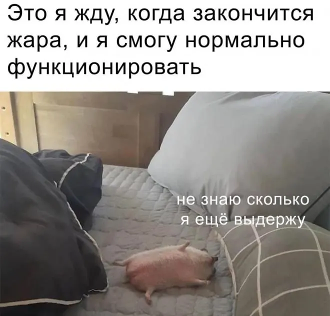 В&nbsp;Москве ожидается тёплый, но&nbsp;местами дождливый день&nbsp;— до&nbsp;+28