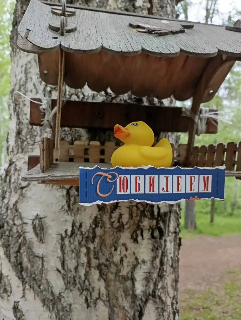 В десятках городов России жители приходили к мемориалам жертв политрепрессий, приносили цветы и фотографии; в Иркутске в кормушку положили резиновую уточку как символ протеста.