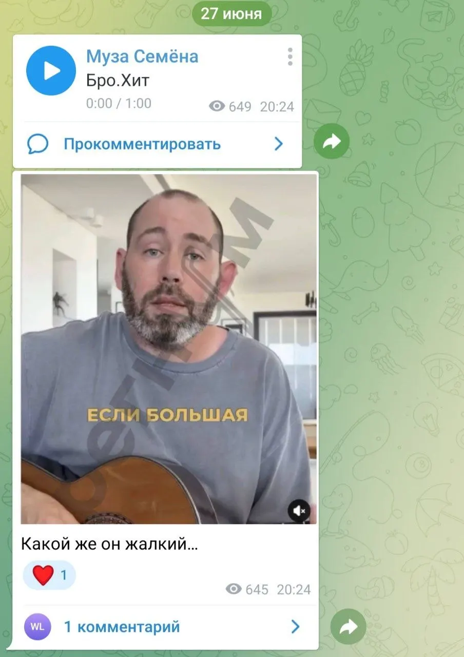 Елена Пензина раскритиковала новый сатирический трек комика, в котором упомянуты атаки над Москвой, топливный кризис и обращение президента.