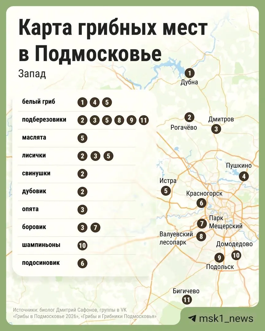 В начале лета в разных районах Московской области массово появились грибы — белые, лисички, маслята, подберёзовики и другие. Краткая карта популярных мест для тихой охоты.