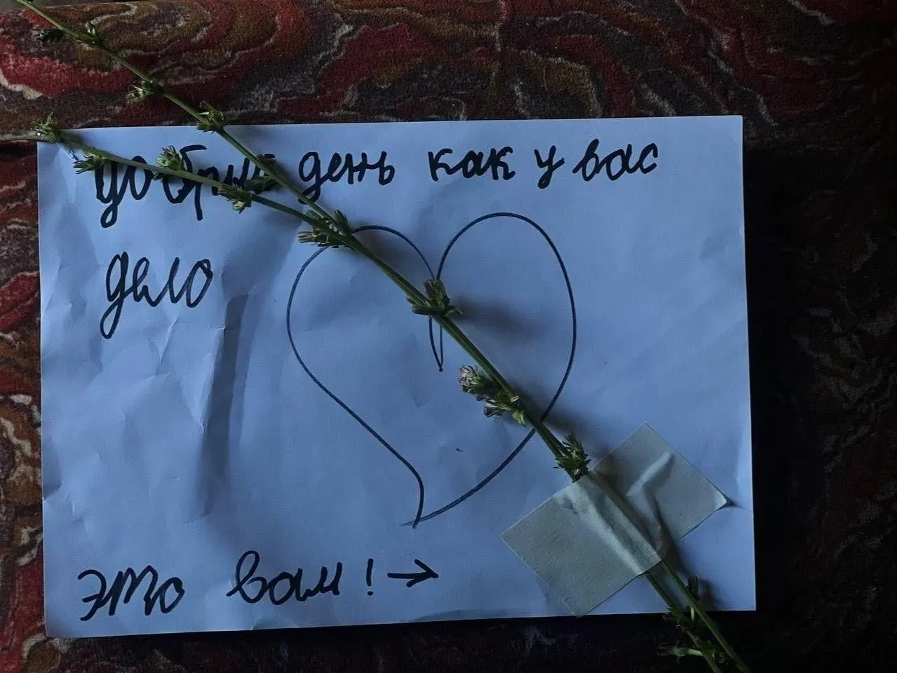 Бывший военнослужащий и ещё один свидетель рассказали о наблюдениях, угрозах в почтовом ящике и задержаниях во время поездки на процесс в Белгороде. По их словам, на них оказывали давление сотрудники силовых структур.