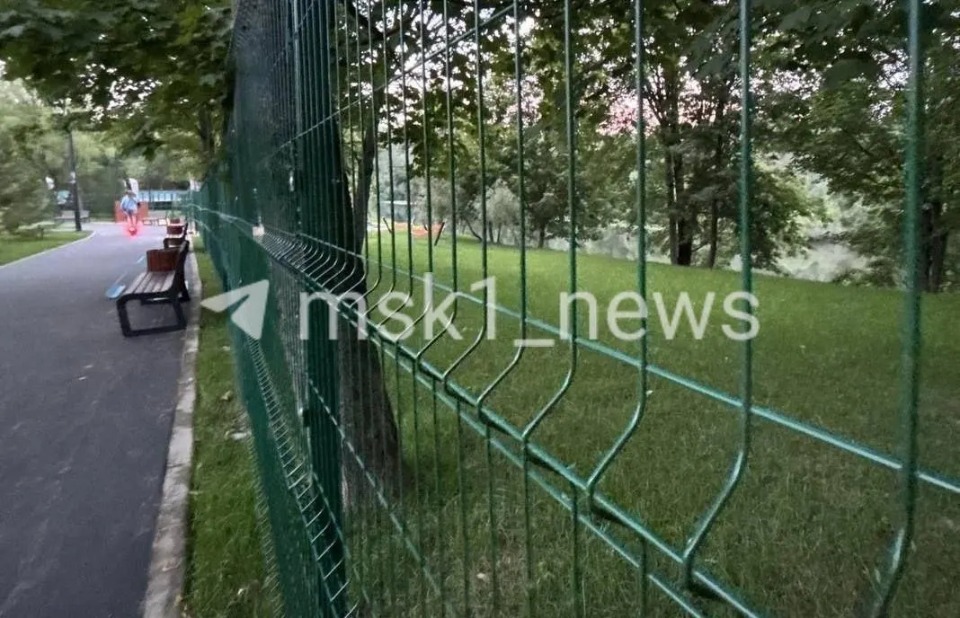 В парке «Заречье» установили ограждения в ходе благоустройства — они перекрыли проход к воде и бесплатным беседкам; власти называют ограждения временными и сообщают о планах платных бассейнов.