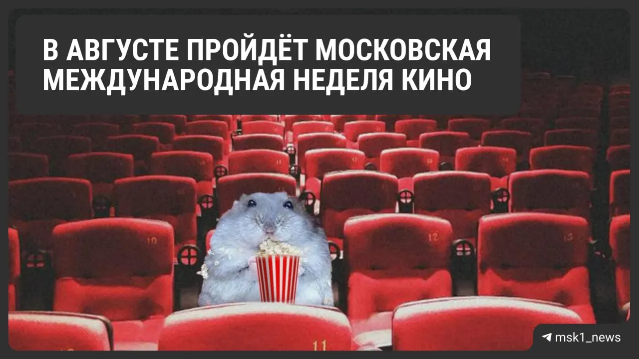 С 24 по 30 августа в столице пройдут показы отечественных и зарубежных фильмов, встречи с кинематографистами, лекции, мастер‑классы и передвижной кинотеатр.