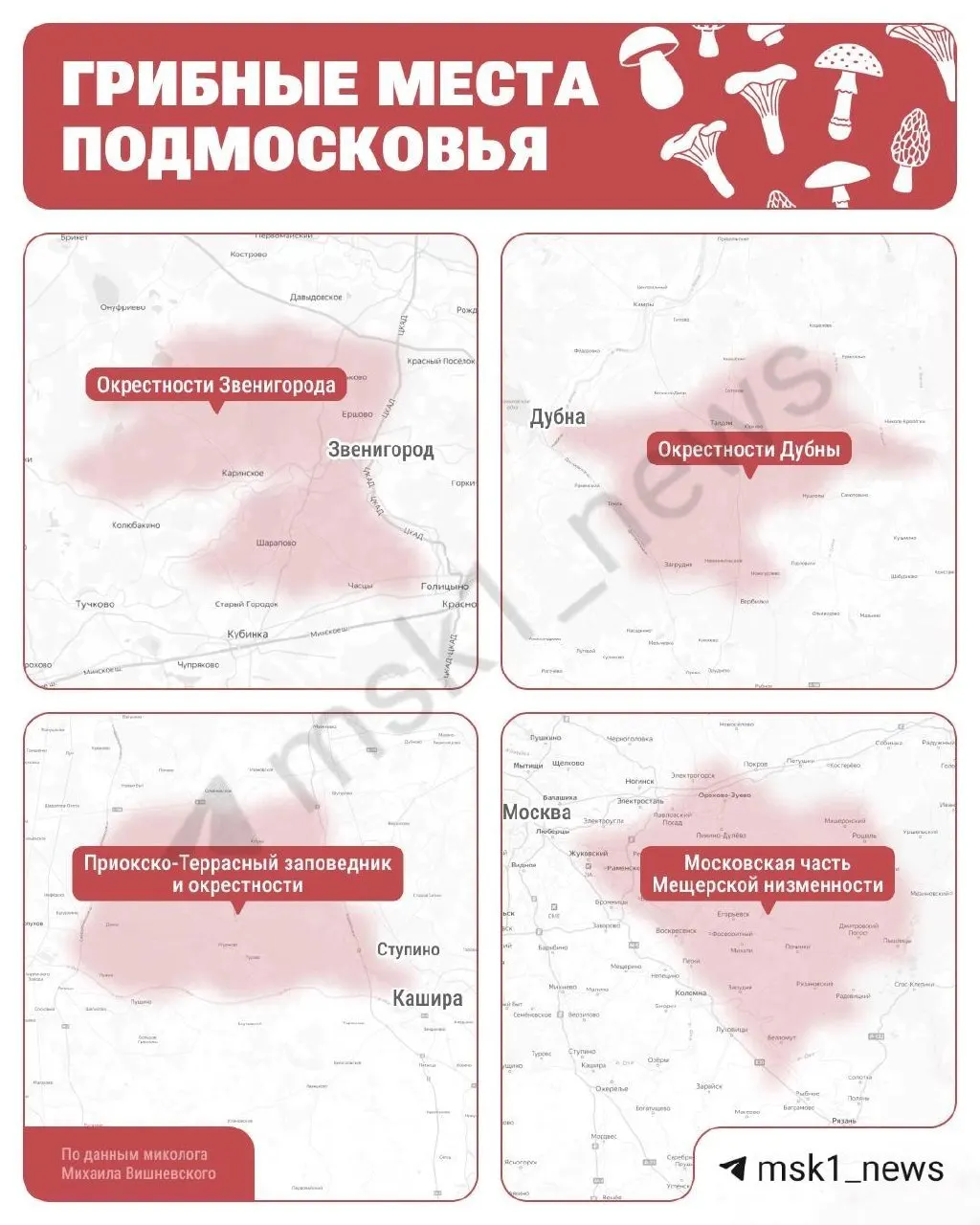 Миколог Михаил Вишневский назвал наиболее грибные участки Московской области — от Серпухова и Приокско-Террасного заповедника до Каширы, а также западные и северные леса и Мещерскую низменность.