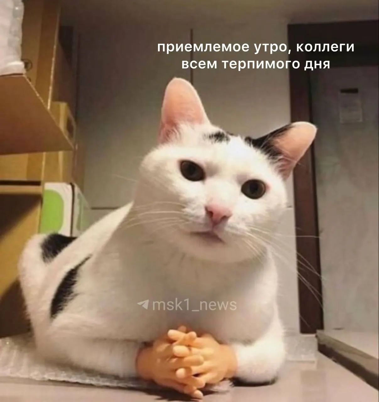 Днём в столице ожидается до +24°C, ветер до 6 м/с. Небольшой утренний дождь возможен.