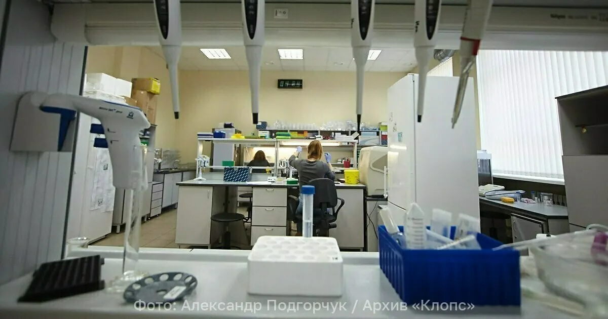 Исследователи из Калининграда, Санкт‑Петербурга и Москвы предложили способ получения экологичного биодизеля на основе микроводорослей Scenedesmus. По их мнению, такое топливо может стать альтернативой традиционным видам и помочь снизить зависимость от ископаемого топлива.