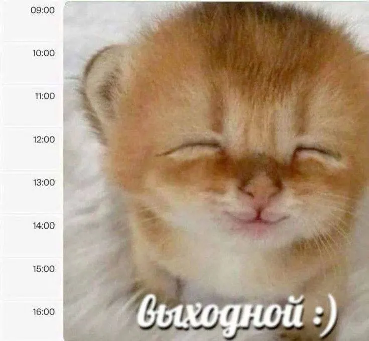 Днем в столице пройдет дождь при температуре +19…+22°. Последняя неделя июля останется теплой, но грозы и ливни станут интенсивнее.