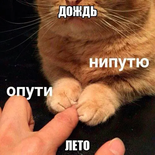 В Москве и Подмосковье сохраняется пасмурная погода: до выходных пройдут короткие дождя, местами возможны грозы. Днём температура не превысит +21°C, а в выходные прогнозируют шторм.