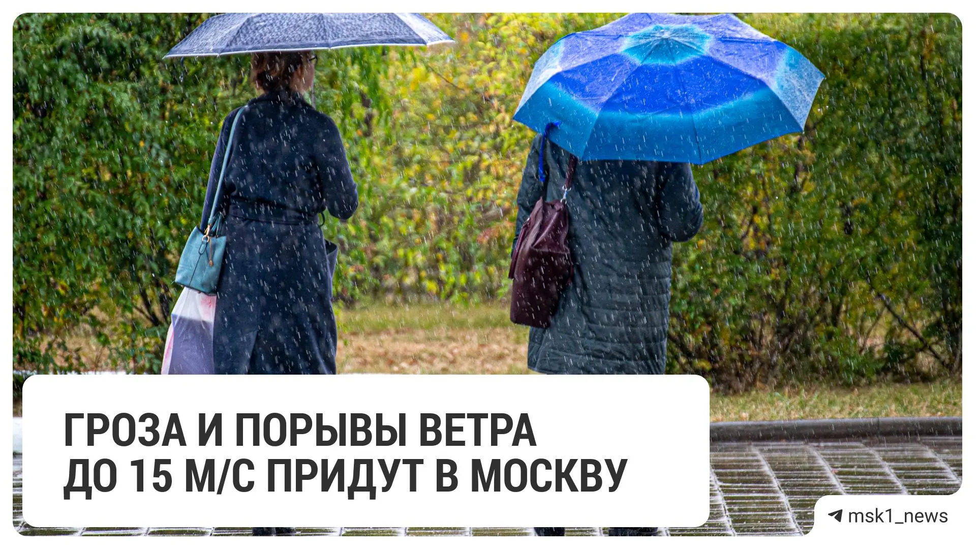 Нестабильная погода: местами ожидаются грозы и ветер до 15 м/с, температура поднимется до +23…+30°C.