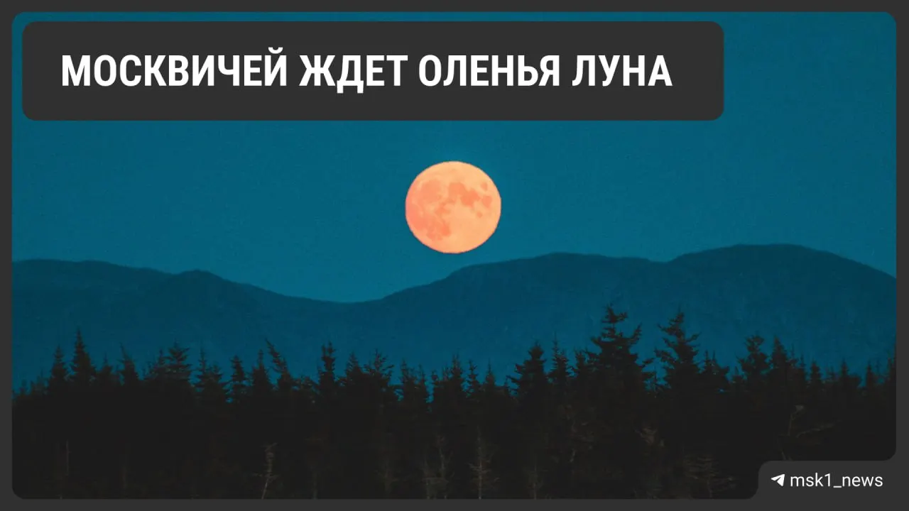В ночь на 29 июля над Москвой ожидается июльская полная Луна — «Оленья Луна». Восход примерно в 21:26; у горизонта спутник может выглядеть розовым или оранжевым, затем приобретёт жёлтый оттенок.
