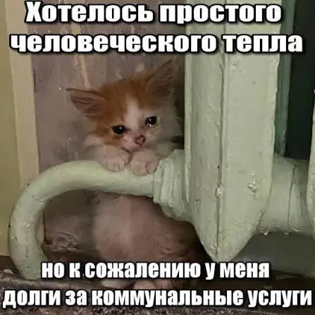 Суд подтвердил, что срок исковой давности в три года лишает кредитора права принудительно взыскивать старые долги за капитальный ремонт через платёжные квитанции.