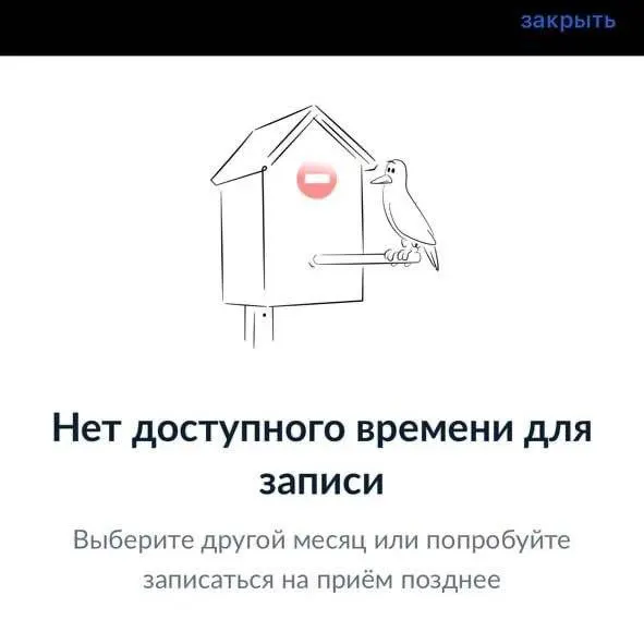 Из‑за отсутствия свободных слотов на портале «Госуслуги» москвичи неделями не могут подать документы на заграничные паспорта; в других регионах таких задержек не фиксируется.