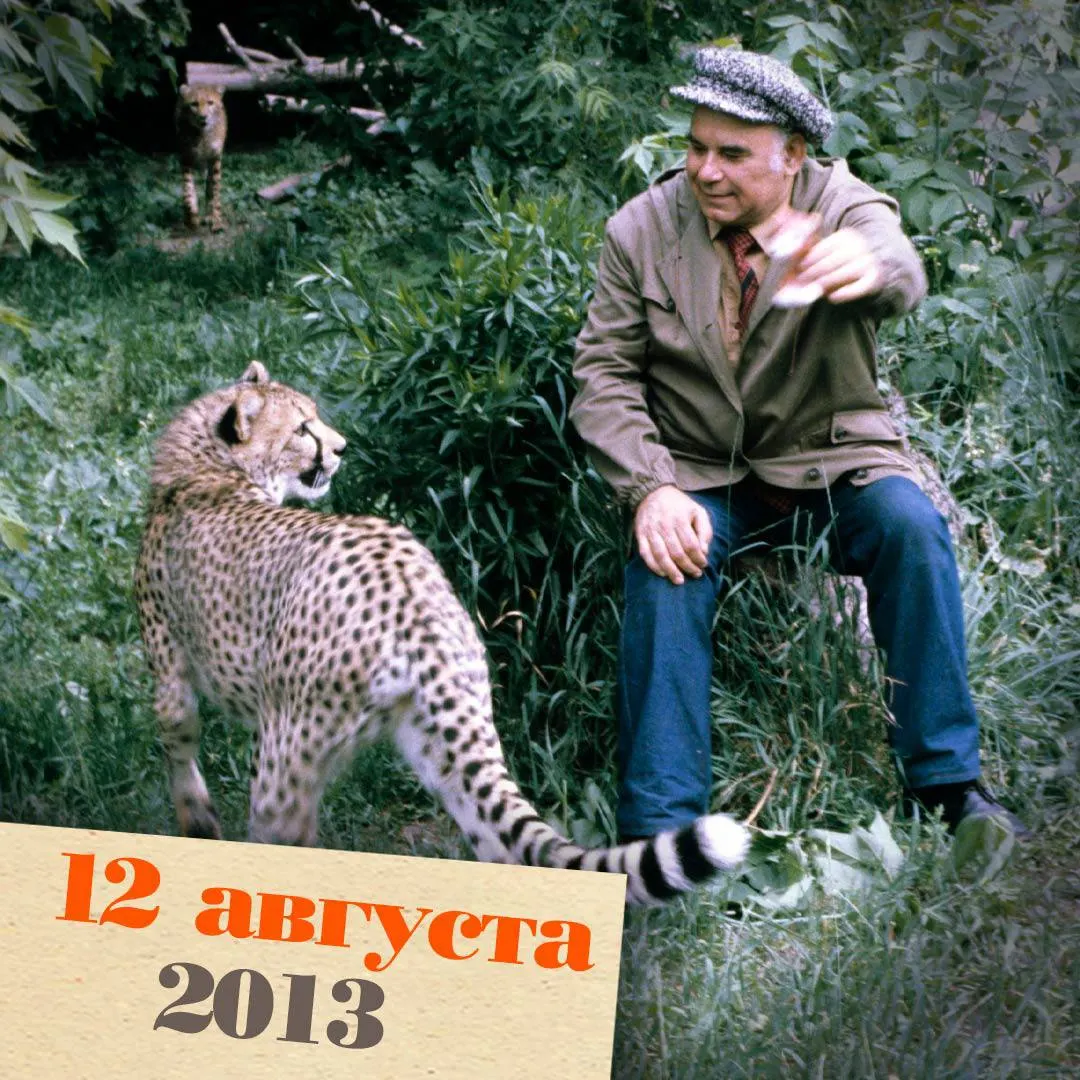 Известный журналист и фотограф природы Василий Песков скончался в возрасте 83 лет. За долгую карьеру он стал автором и ведущим передачи о природе, много лет деятельно прославлял русскую журналистику и природоохранную работу.