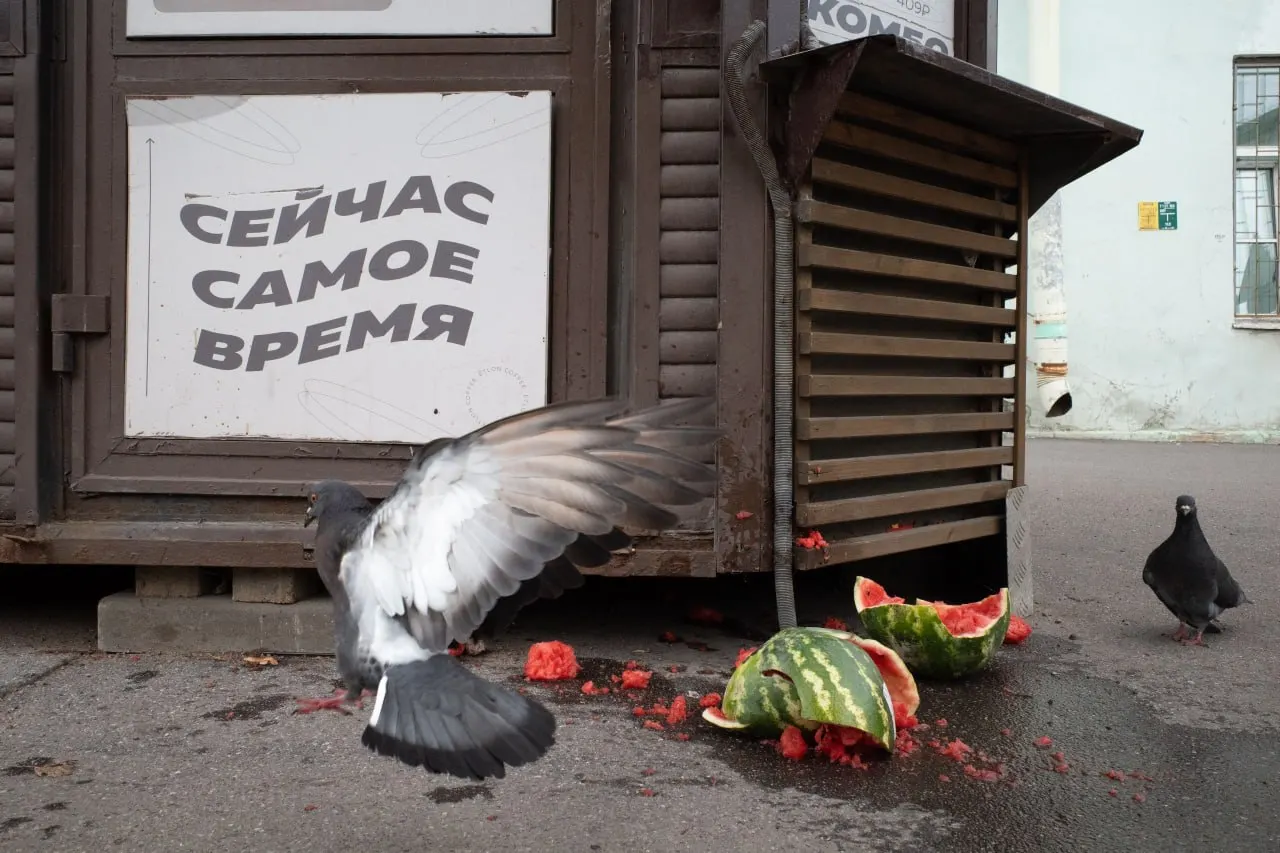 В Санкт-Петербурге заочно оштрафовали антивоенного священника; прошли памятные мероприятия к Дню памяти жертв Большого террора. В регионе и по стране проходят политические события и новости по миру.