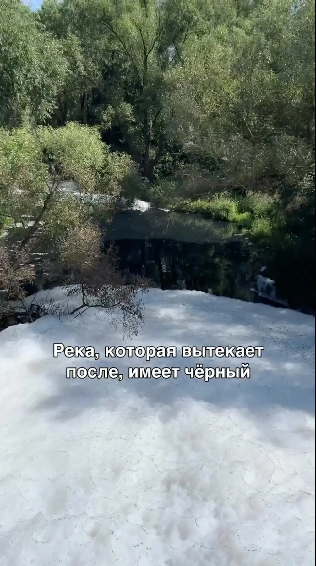 Боновые заграждения ограничивают очаг загрязнения в реке Гнилуша, разрабатывается план восстановления водоёмов с применением бактерий для разложения химических соединений; результаты будут известны в ближайшие дни.