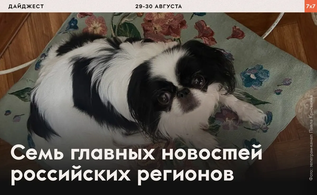 В разных регионах зафиксированы случаи давления на активистов, принуждения к физнагрузкам заключённых и попытки ограничить агитацию и свободу слова.