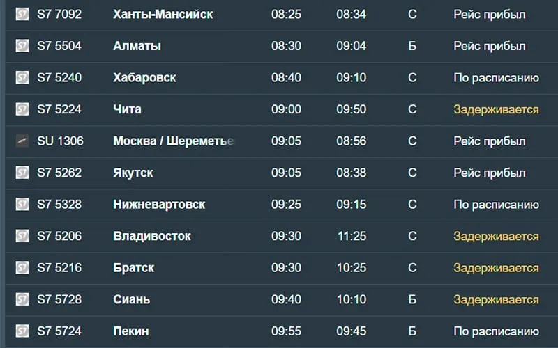 Утром 18 августа зафиксированы задержки прилётов 14 рейсов в Новосибирск. Задержаны рейсы из Санкт-Петербурга, Читы, Владивостока, Братска и других городов; самолёты из Минеральных Вод и Нижнего Новгорода задержаны на 11,5 и 10 часов. Также задержан рейс в Эльгу (Якутия).