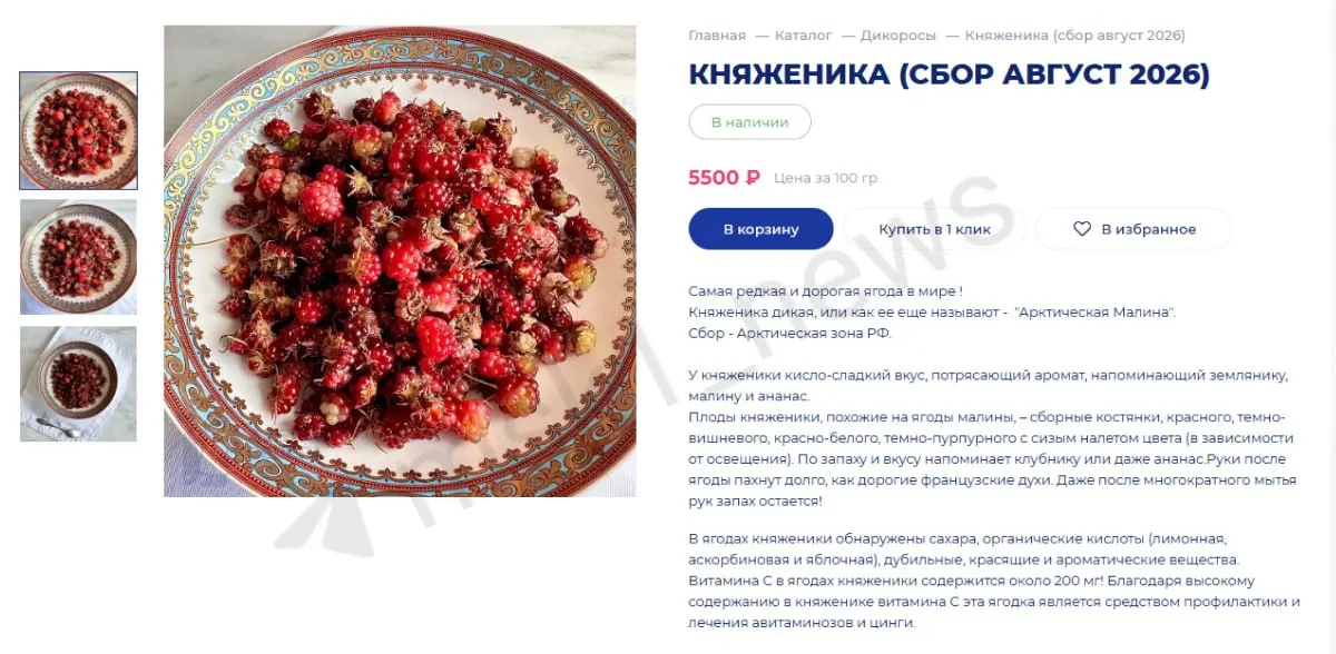 Арктическая ягода княженика вызывает обсуждения из-за цены: 100 г стоит 5500 ₽, урожайность низкая, хранение короткое.