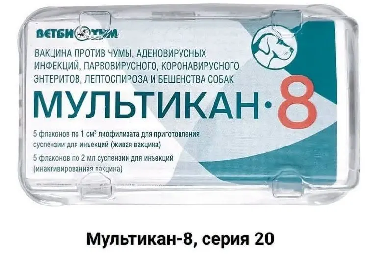 Владельцы животных требуют открытого расследования гибели собак после вакцинации препаратом «Мультикан-8», настаивая на проверке лабораторий и производителя.
