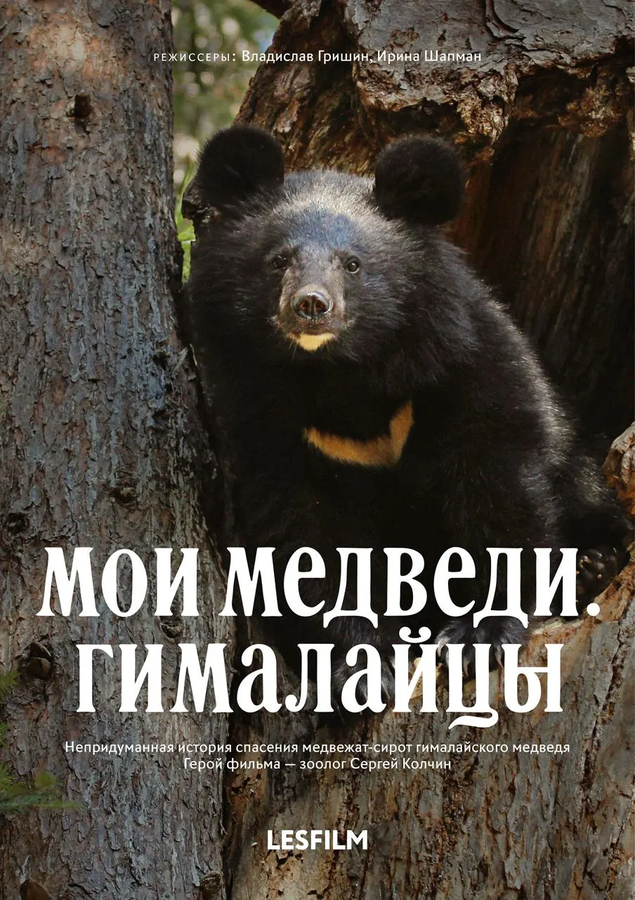 Осенний фестиваль экологического документального кино пройдёт в столицах России с программой о природой и взаимосвязях мира.