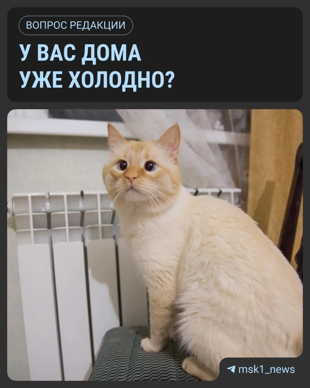 Старт подачи тепла в столице зависит от погоды: тепло подадут, когда среднесуточная температура опустится ниже +8 °C на пять суток подряд.