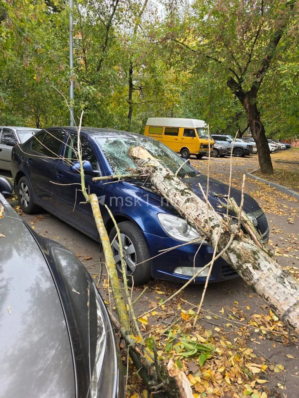 Непогода продлится весь день; порывы ветра достигают до 17 м/с.