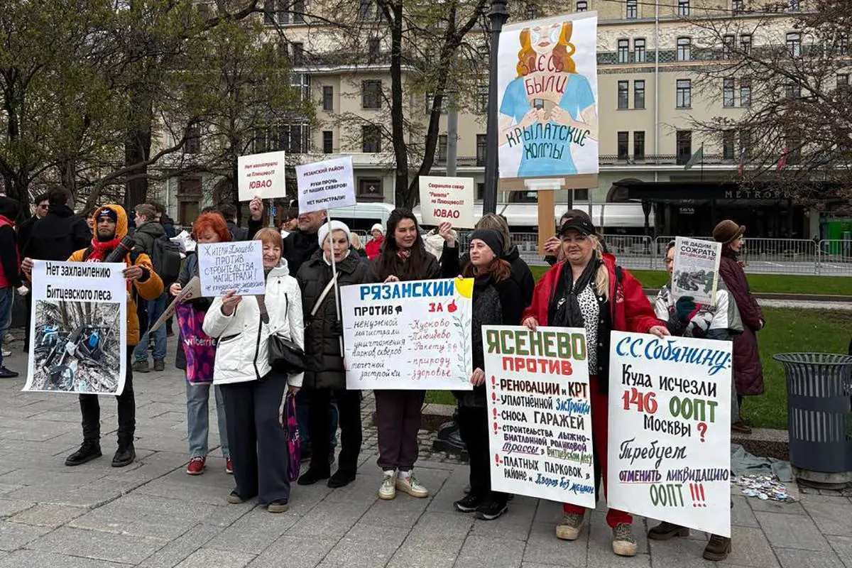 Разбираем, почему экологическая повестка не стала основой партийной политики и какие силы влияют на охрану природы в стране.