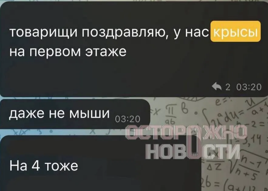 Студенты ВГИКа жалуются на крыс в общежитии и угрозы отчисления со стороны руководства, несмотря на жалобы.