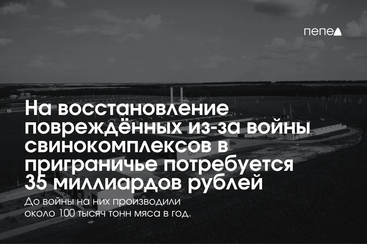 Оценочные затраты на восстановление инфраструктуры после обстрелов составляют 35 млрд рублей; региональные фермы столкнулись с дополнительными расходами на безопасность и логистику.