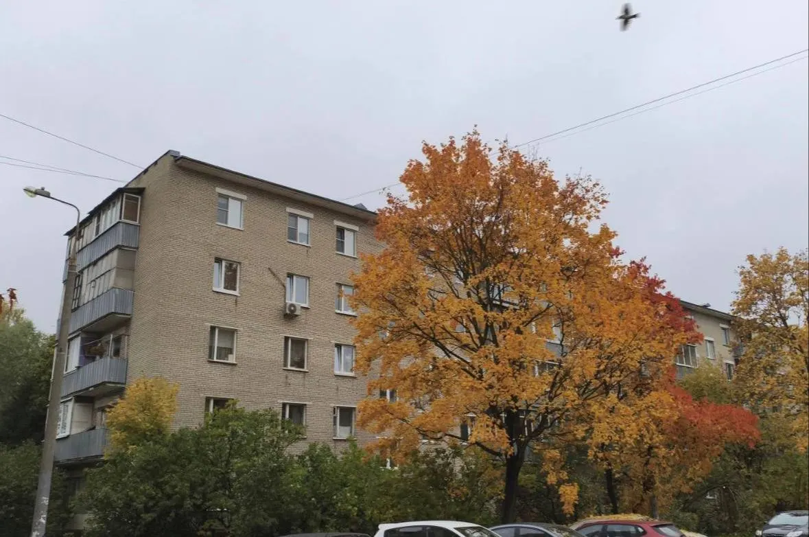В Москве произошёл взрыв в квартире; эвакуированы жильцы, сапёры обследуют помещение на предмет наличия дополнительных угроз.