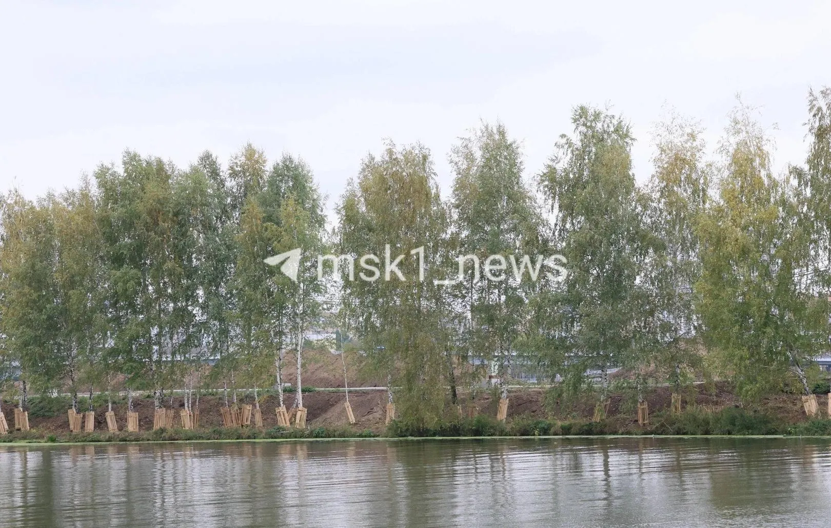 Вырубка зелёных насаждений на острове и планы создания парка с spa-комплексом и развлечениями сопровождают строительство нового моста в столице.