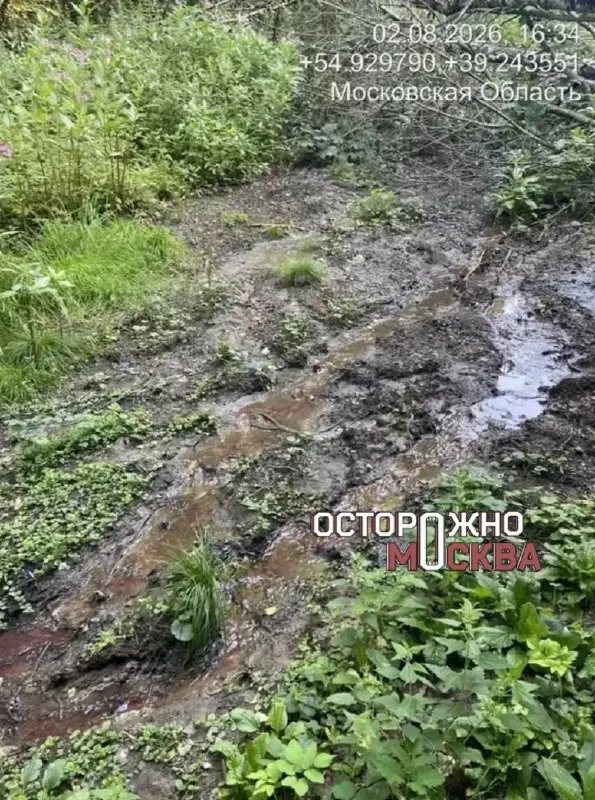 Жители деревни под Луховицами жалуются на резкий запах из местного озера, связывая его с возможными выбросами на производстве. Ведутся пробы воды и мониторинг, меры по закону будут приняты.