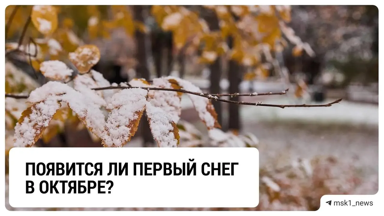 Синоптики ожидают возможность первого снегопада после 20 октября; снег, скорее всего, будет ночным и при нулевой температуре.