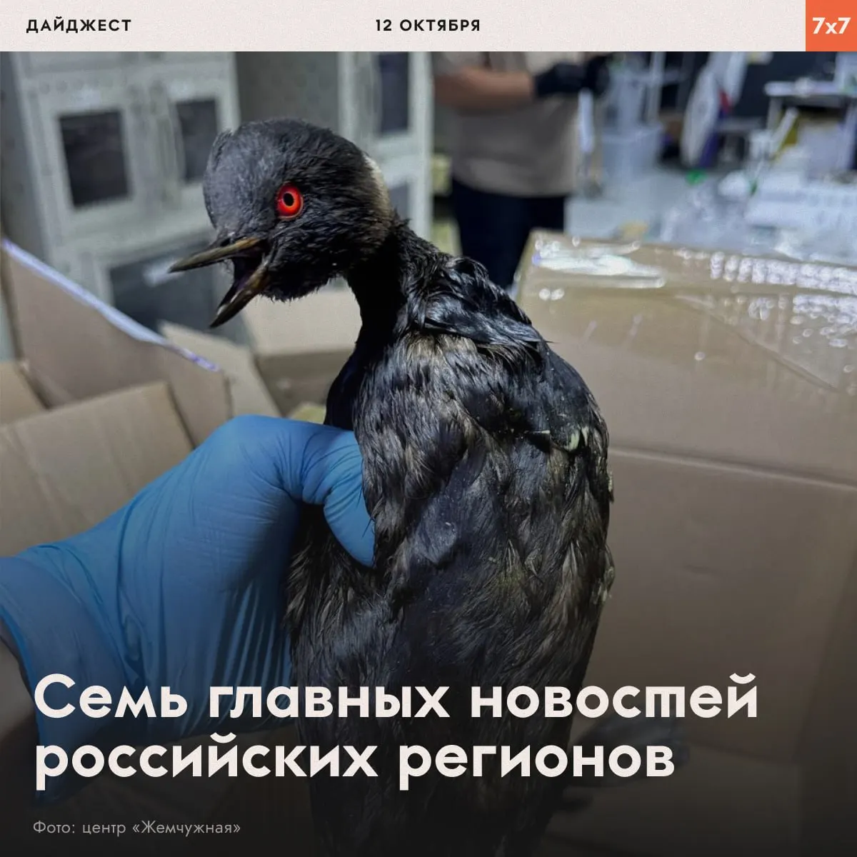 Подборка свежих новостей о митингах, кадровых решениях, забастовках и экологических акциях по регионам страны.