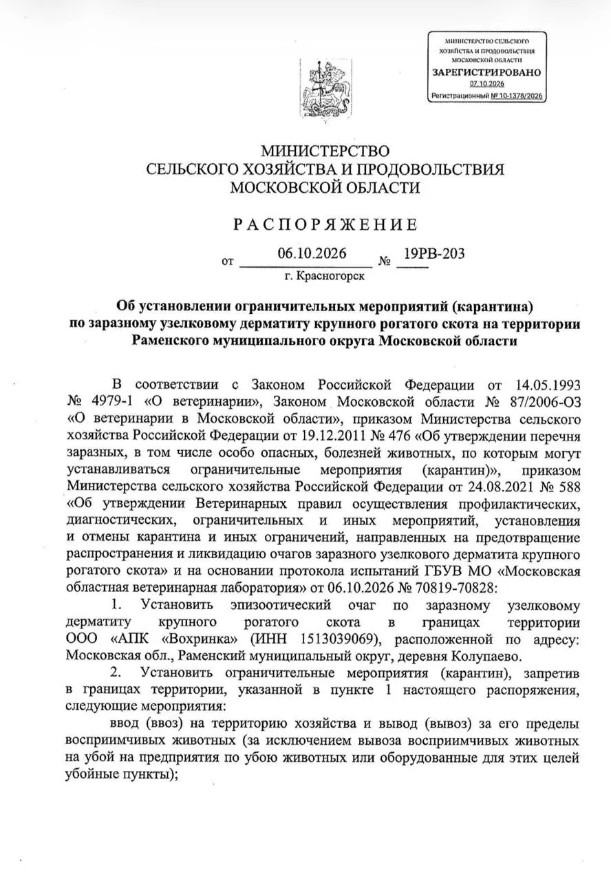 В Подмосковье введены карантинные меры после выявления двух очагов лейкоза и узелкового дерматита на фермах Зарайского округа и в ЛПХ АПК Вохринка в деревне Колупаево Раменского округа.