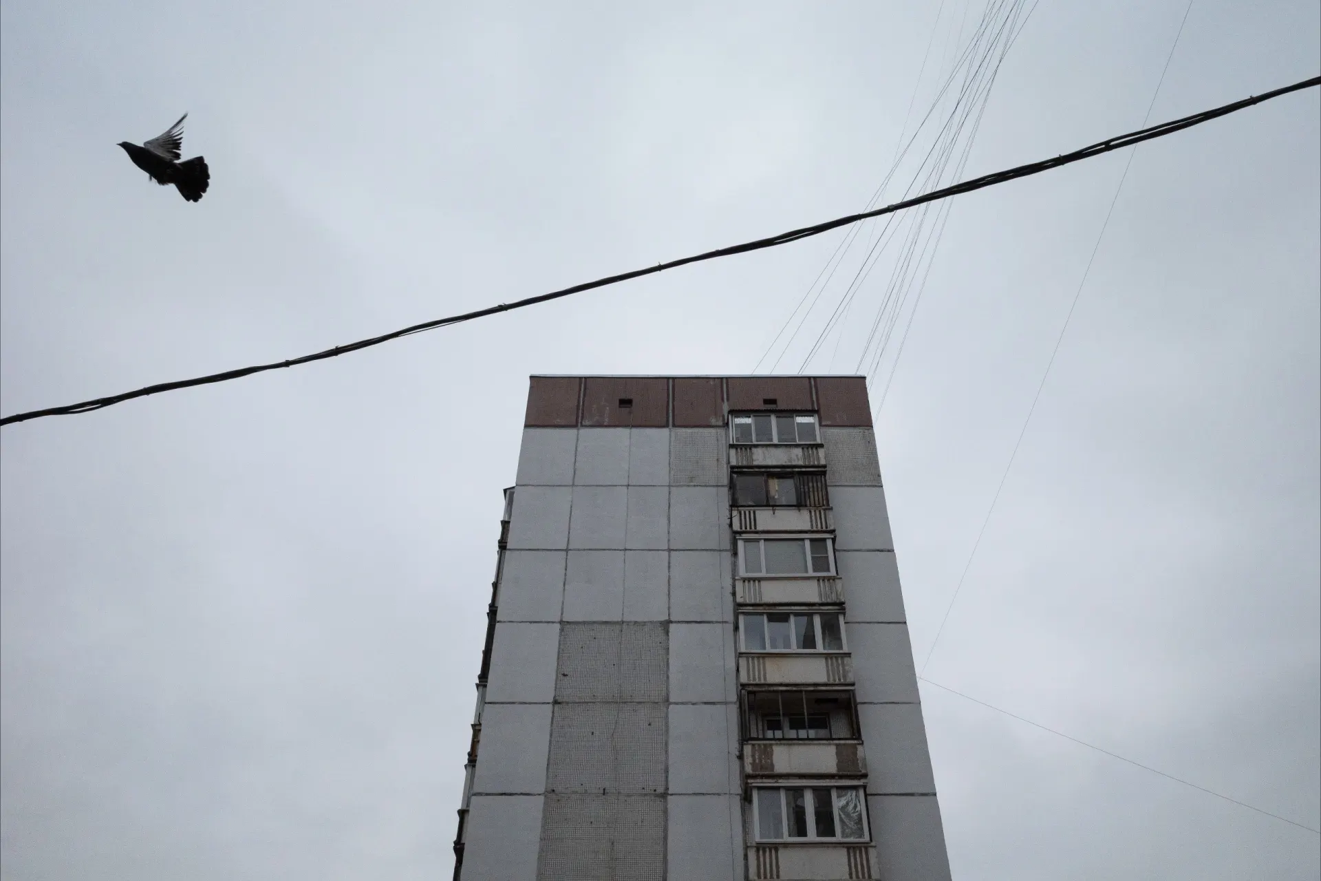 Погодные заморозки в Санкт-Петербурге и Ленобласти, задержки в аэропортах и дорожно-транспортные происшествия, а также новости о миграции и международной обстановке.